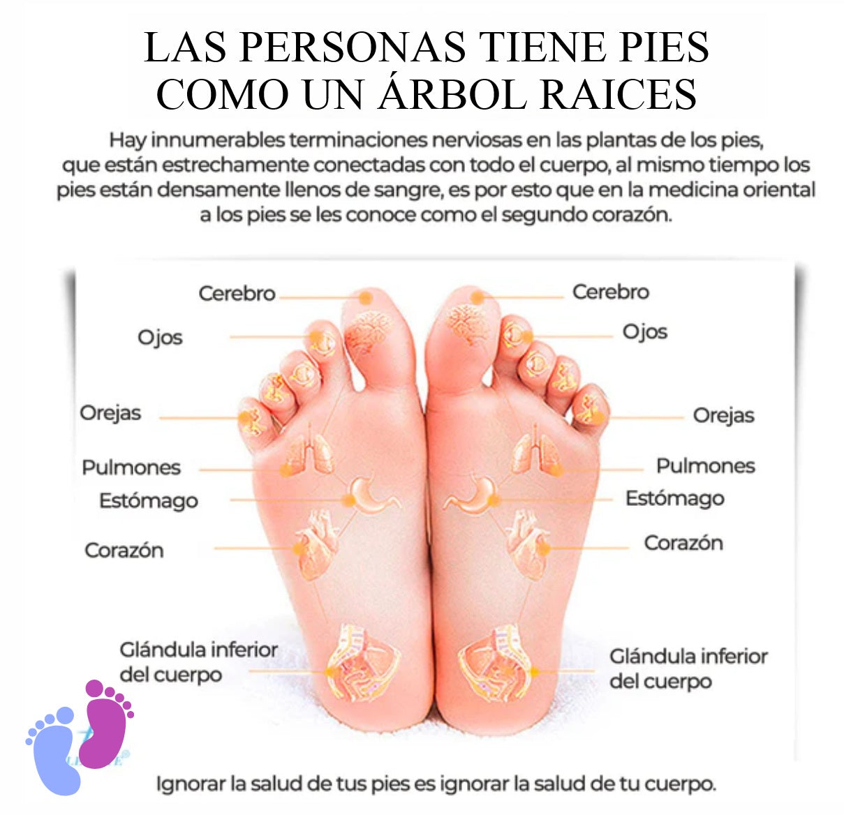 Masajeador Inteligente de pies y piernas Recargable