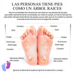 Masajeador Inteligente de pies y piernas Recargable